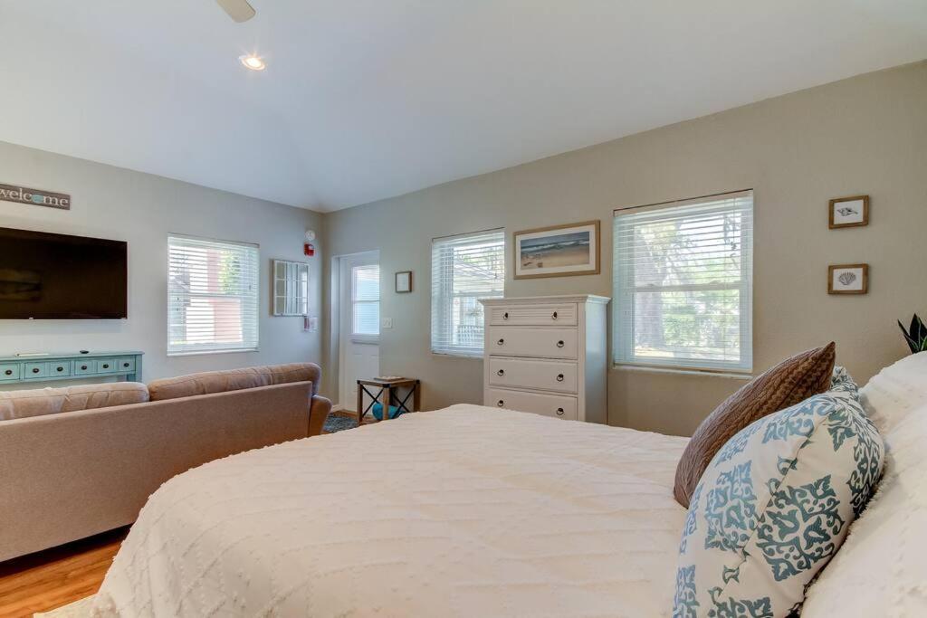 Beautiful Studio In Downtown Dunedin! Exterior photo